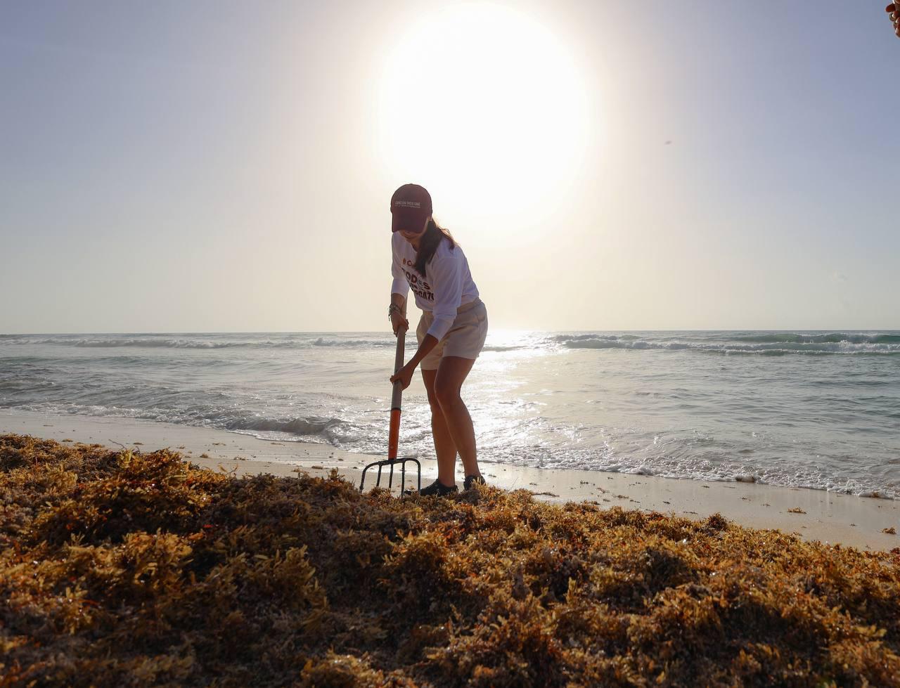 uploads/6/32/01 (2098).Jpeg